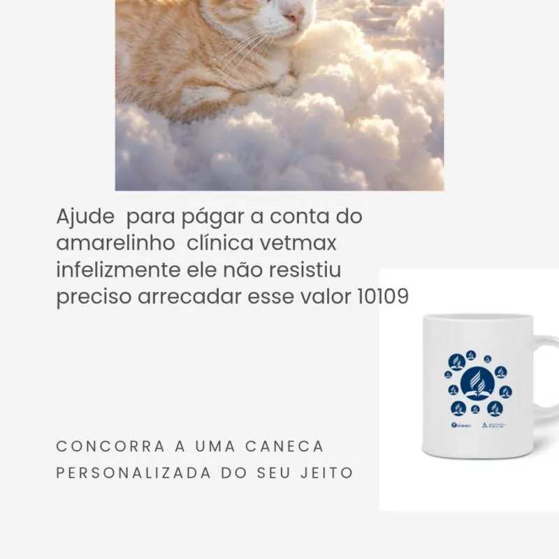 Imagem da campanha P