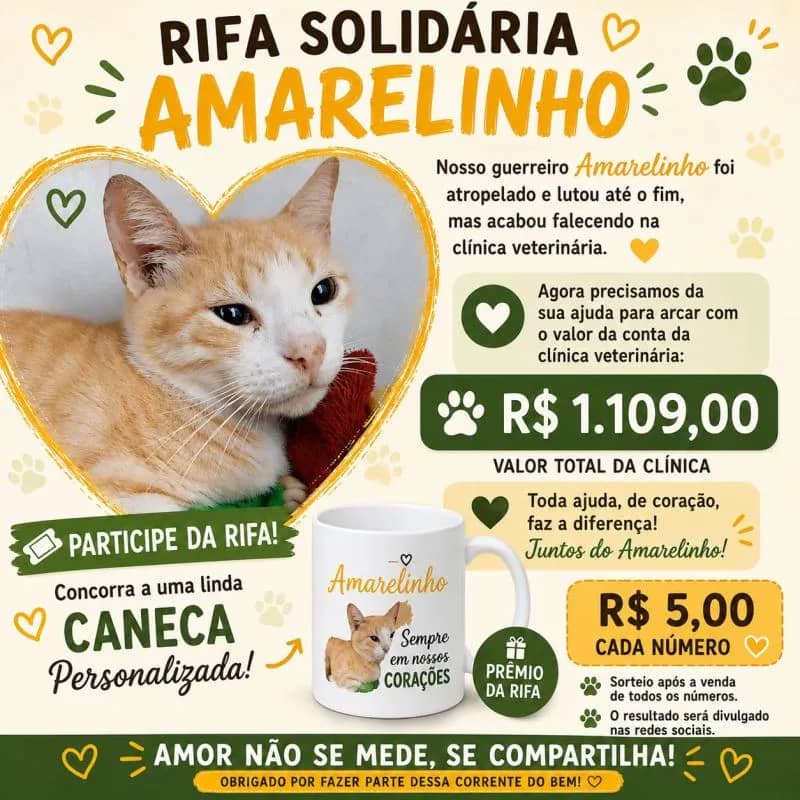 Imagem da campanha Campanha pra pagar a conta do amarelinho