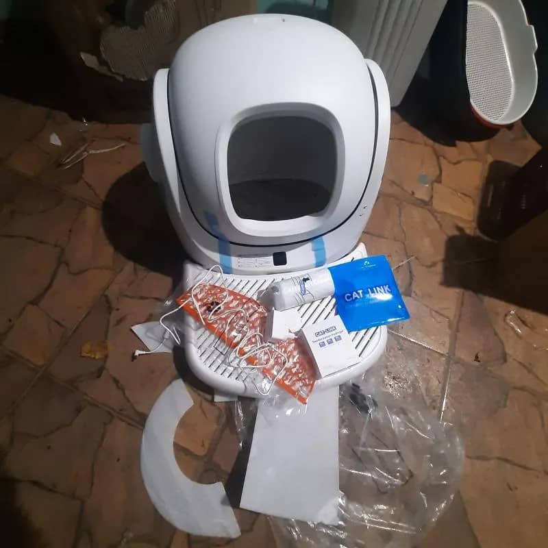 Imagem da campanha RIFA SOLIDÁRIA DOS GATINHOS DA DONA RITA