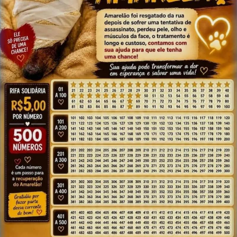 Imagem da campanha Pet sitter tia Ju ❤️ conta com sua ajuda para comprar uma máquina secadora de pets conto muito com sua ajuda