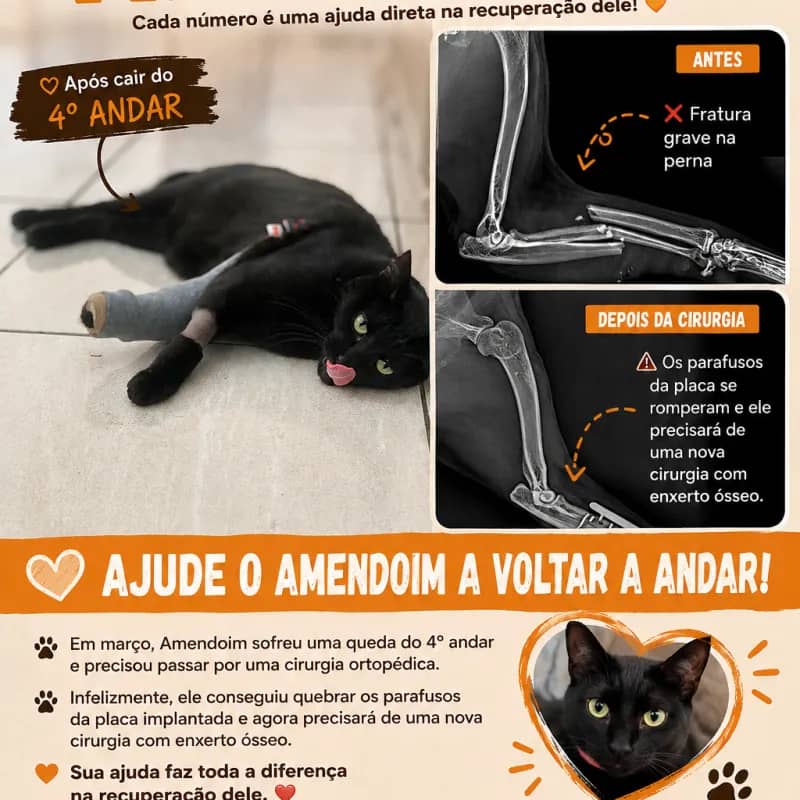 Imagem da campanha Cirurgia Amendoim