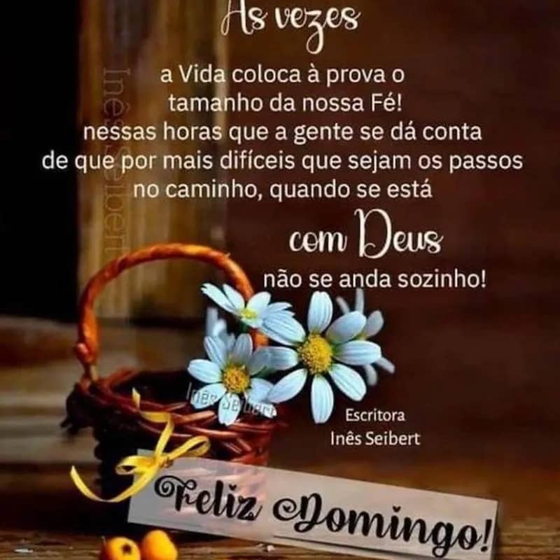 Imagem da campanha Ú ajudar a família