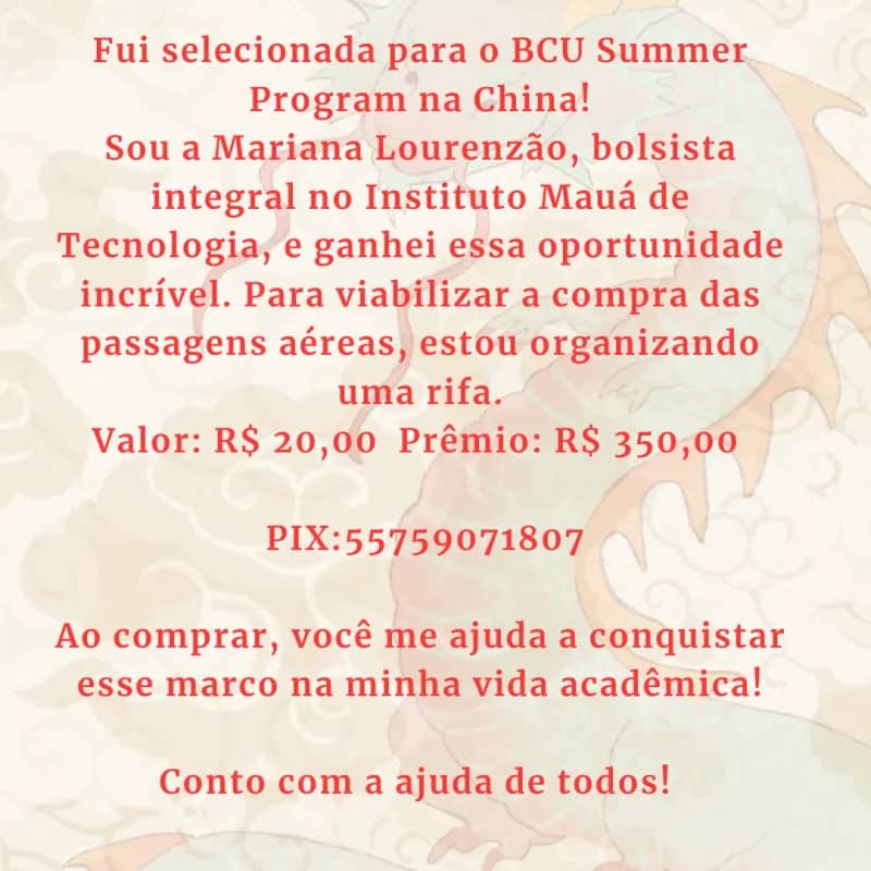 Imagem da campanha BCU Summer Program