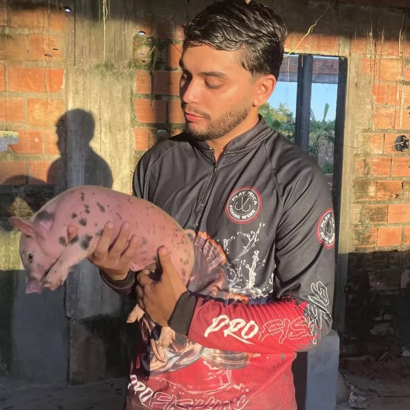 Imagem da campanha 🐷2 futuras matrizes ou 900 no pix🐷