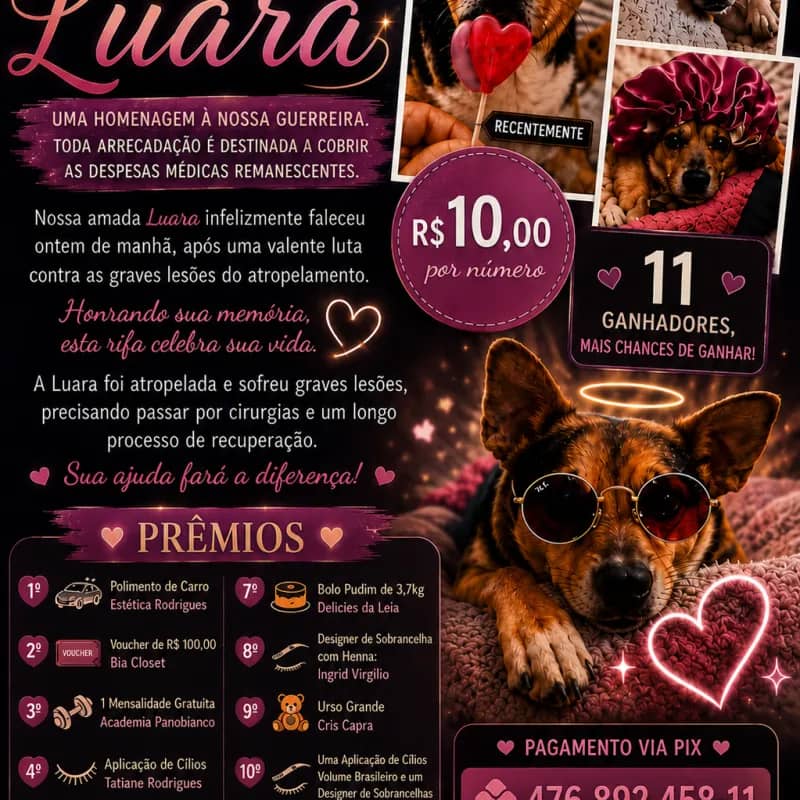 Imagem da campanha Rifa Luara