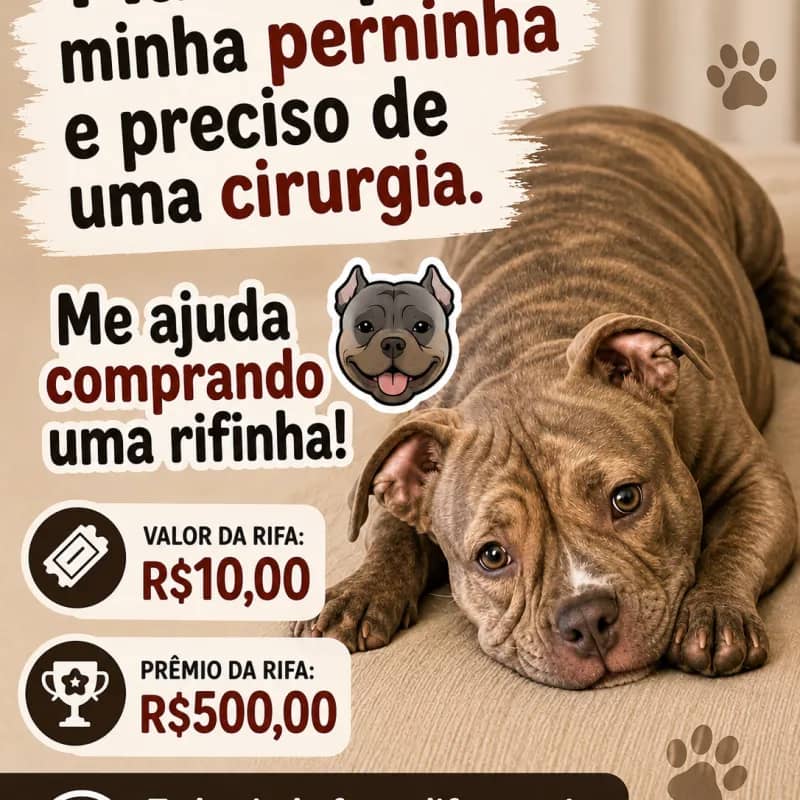 Imagem da campanha Cirurgia da Pandora