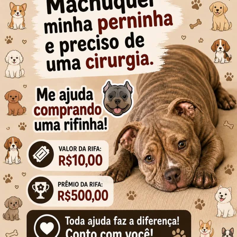 Imagem da campanha Cirurgia da Pandora 🐶🙏🏻💕