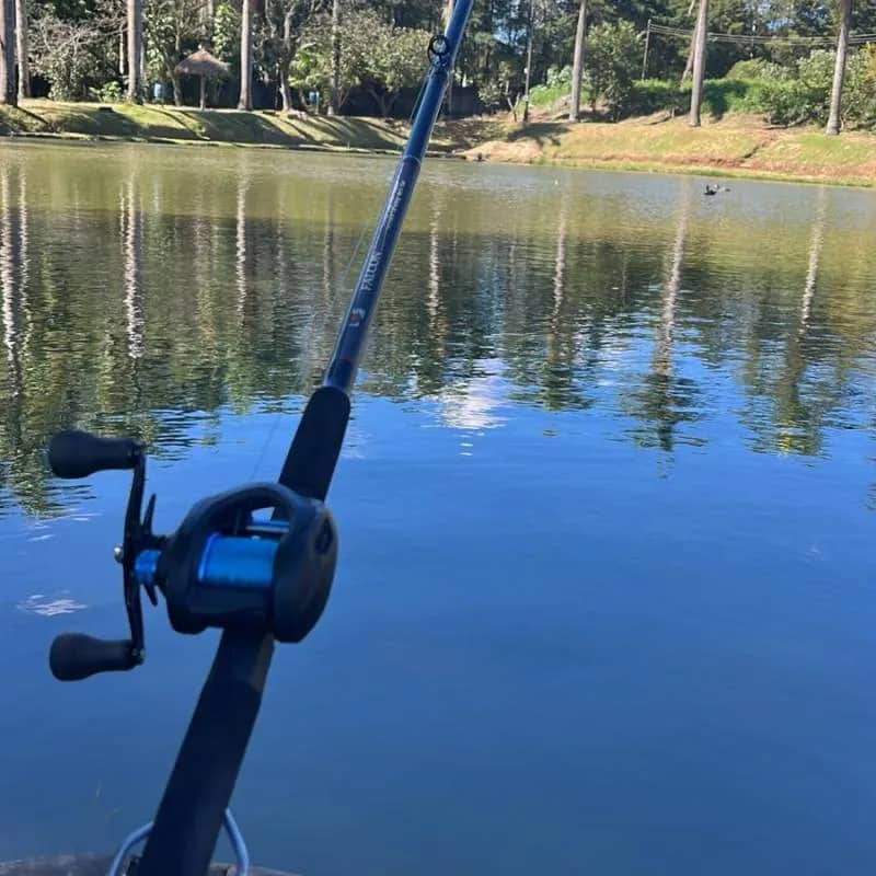 Imagem da campanha Vara de pesca