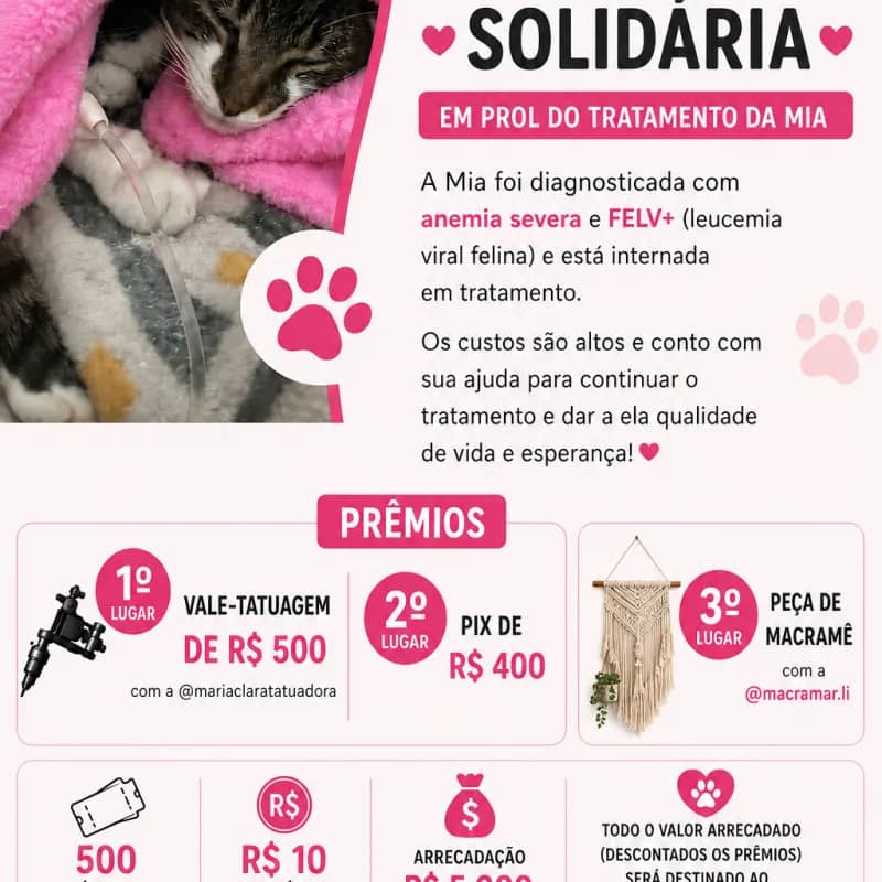 Imagem da campanha Ajude a Mia com o tratamento contra anemia e Felv+