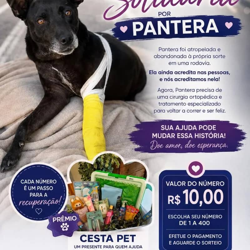 Imagem da campanha Campanha em prol da Pantera