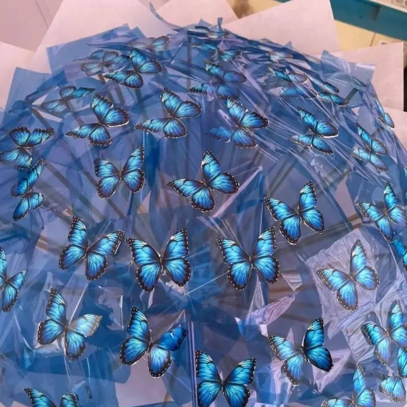 Imagem da campanha Buquê de borboleta extra grande