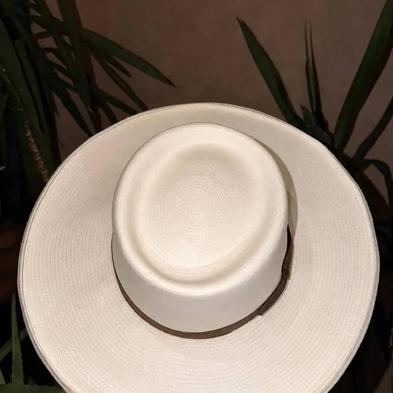 Imagem da campanha CHAPÉU  PANAMÁ