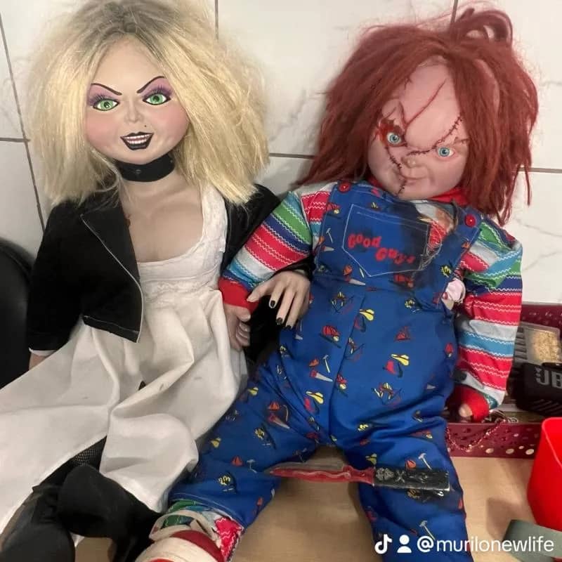 Imagem da campanha AÇÃO PREMIADA - CASAL CHUCKY & TIFFANY - AÇÃO DE DESAPEGO ( ACERVO PESSOAL)