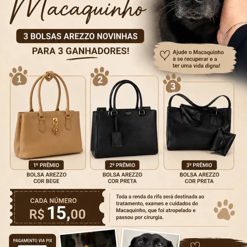 Imagem da campanha Rifa em Prol do Macaquinho