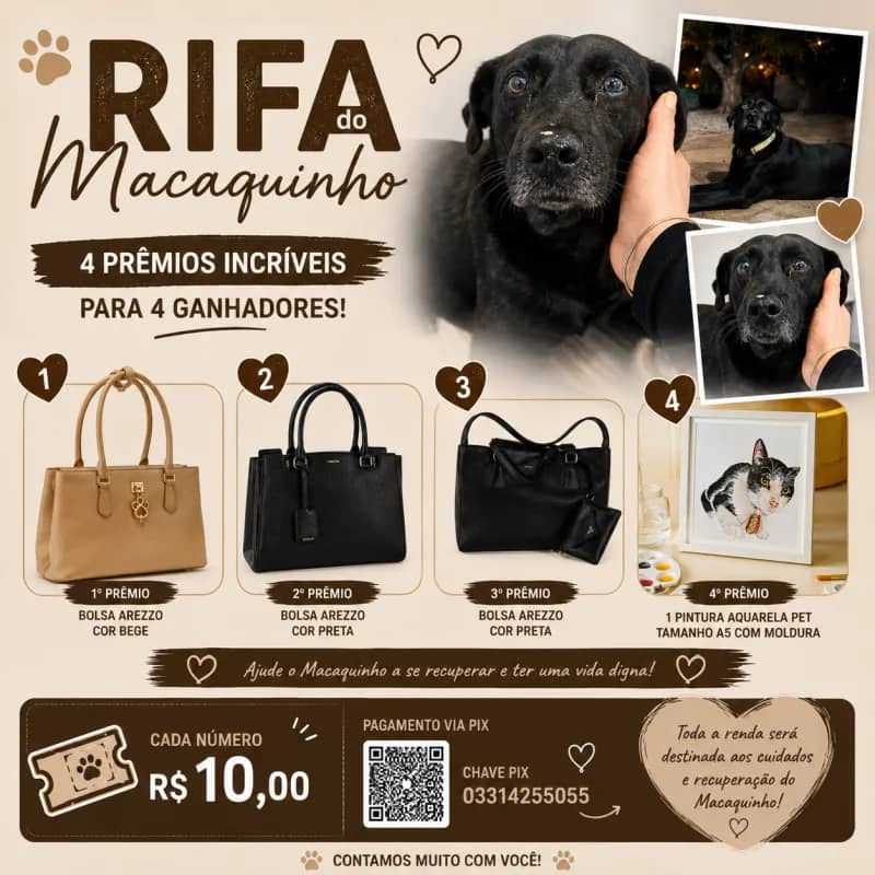 Imagem da campanha Rifa em Prol do Macaquinho