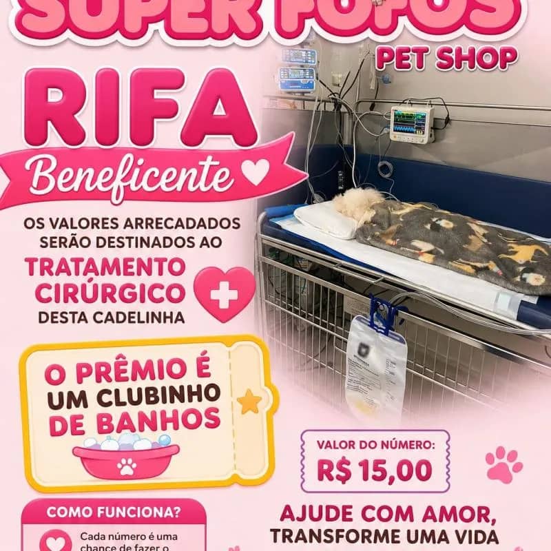 Imagem da campanha Rifa beneficente