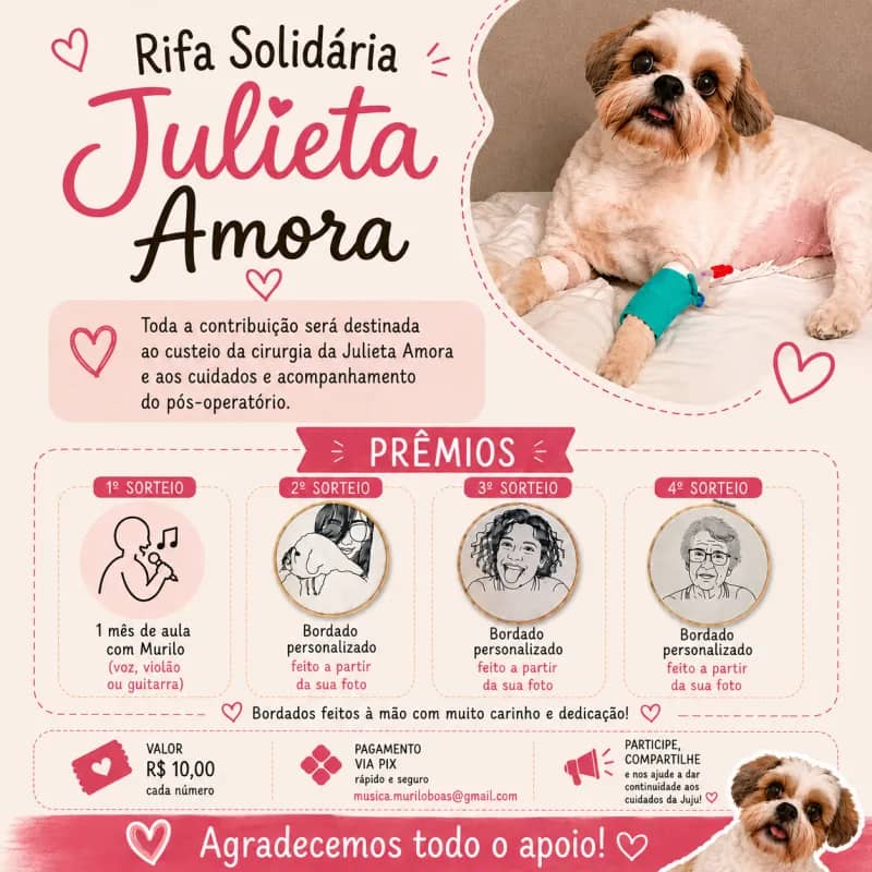 Imagem da campanha Rifa Solidária da Julieta Amora