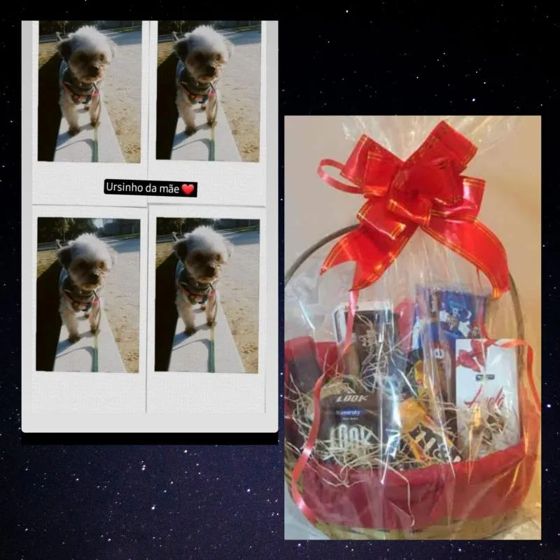 Imagem da campanha Rifa de Páscoa em pro do Bobi