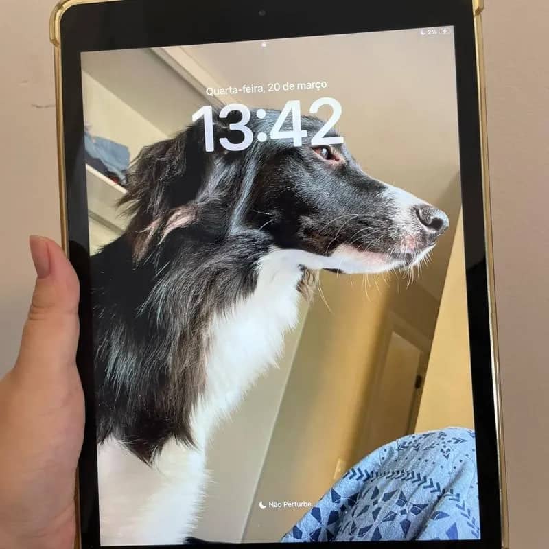 Imagem da campanha Cirurgia do Remi