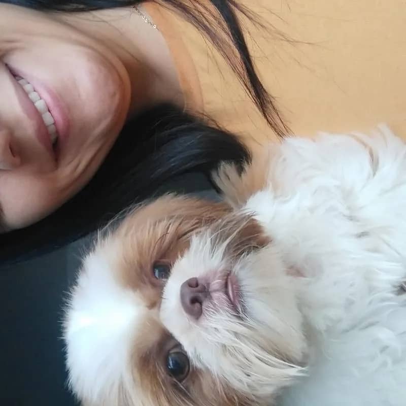 Imagem da campanha M.i