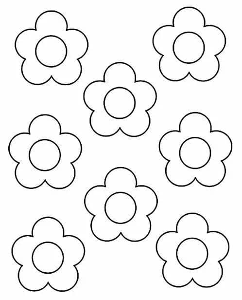 Imagem da campanha sc