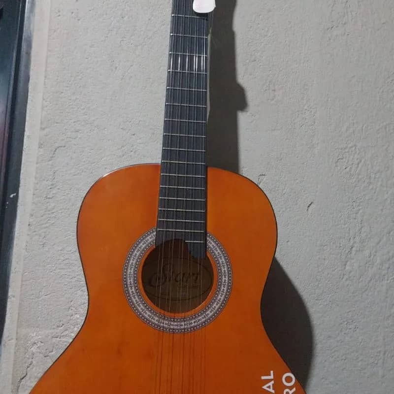 Imagem da campanha Viola da dupla Divino e Donizete