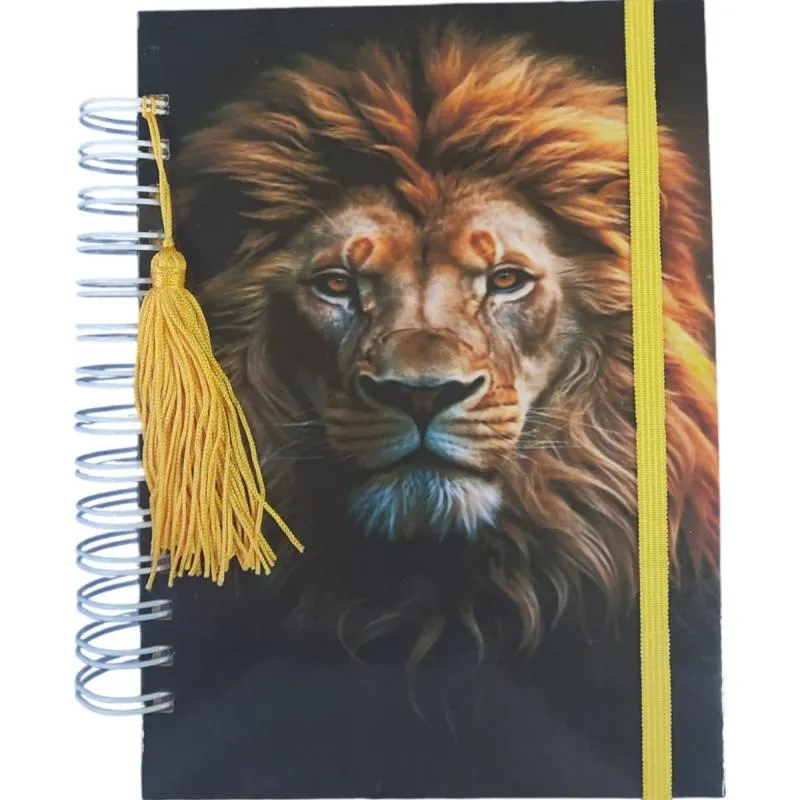 Imagem da campanha Agenda