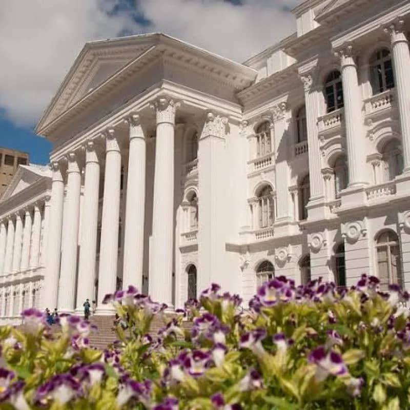 Imagem da campanha RIFA SOLIDÁRIA – Vestibular da UFPR