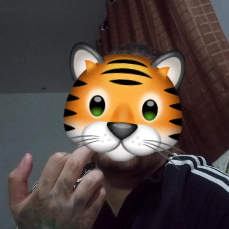 Imagem da campanha SOLTA A CARTA CARALHO TIGRINHO FDP 🍀💲🐯