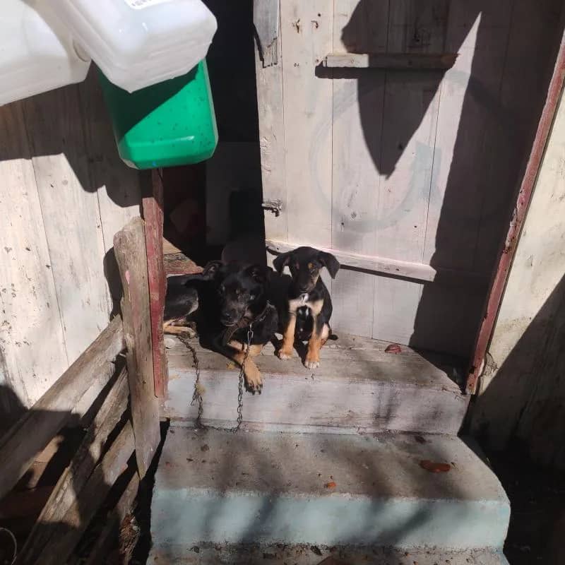 Imagem da campanha Paulo