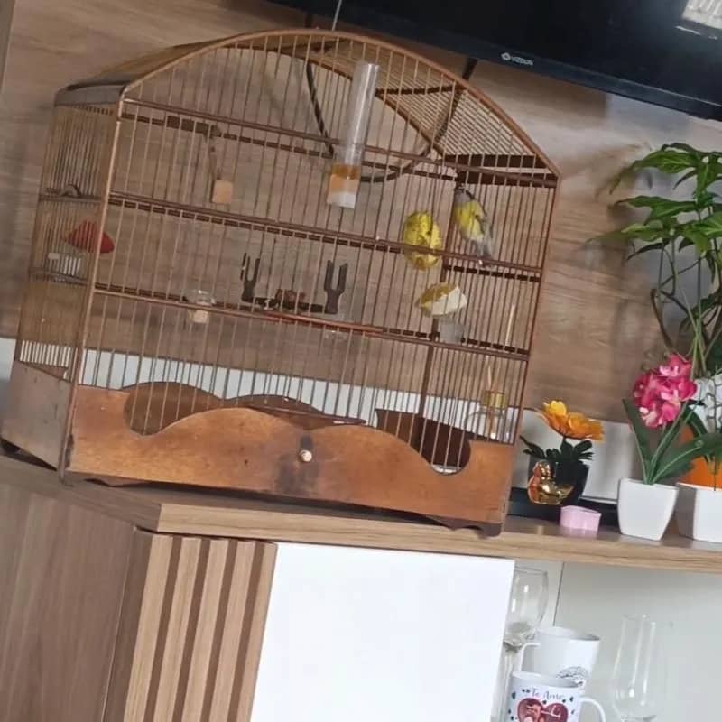 Imagem da campanha SEBITE EXTRA