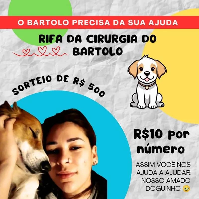 Imagem da campanha Bartolo precisa da sua ajuda