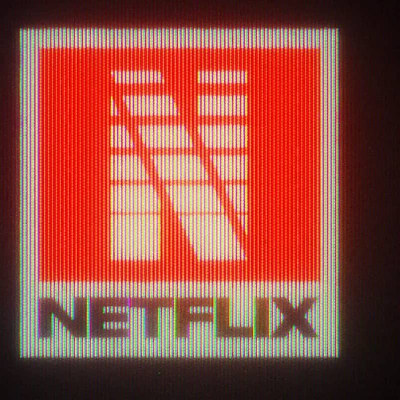 Imagem da campanha Campanha para animais em situação de rua