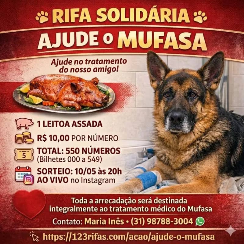 Imagem da campanha AJUDE O MUFASA