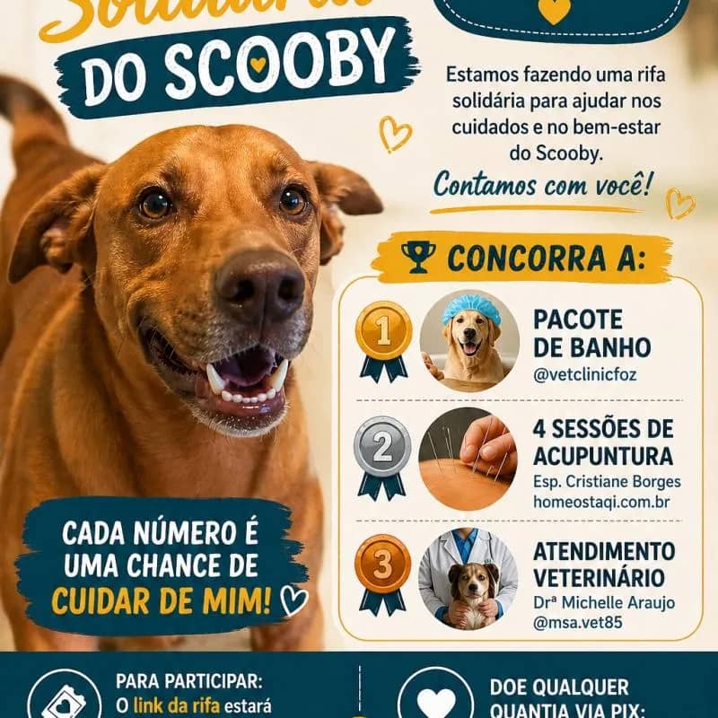 Imagem da campanha Campanha para o Scooby