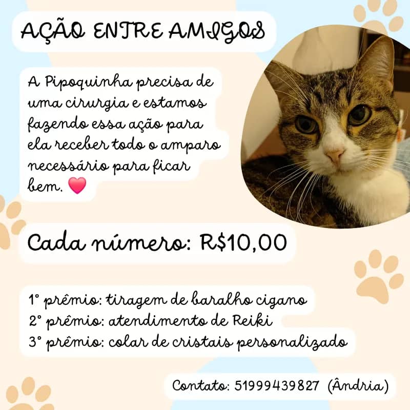 Imagem da campanha Ação entre Amigos pela Pipoca ♥️🐾