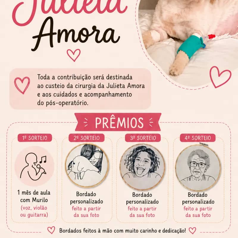 Imagem da campanha Rifa da Julieta Amora