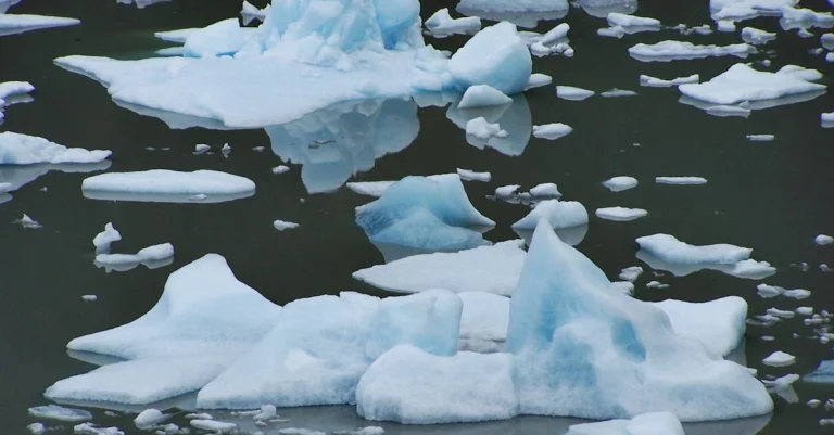 Como Escolher os Prêmios Certos para uma Rifa