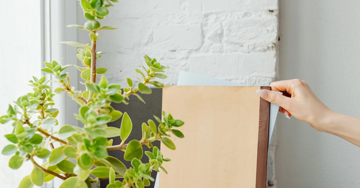 Como Estabelecer Parcerias para Rifas Corporativas