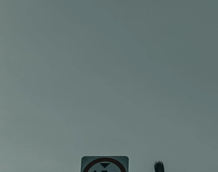 Como regulamentar rifa: Guia Prático de 2024