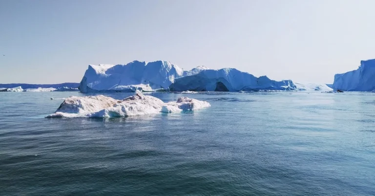 O Segredo para uma Rifa de Sucesso