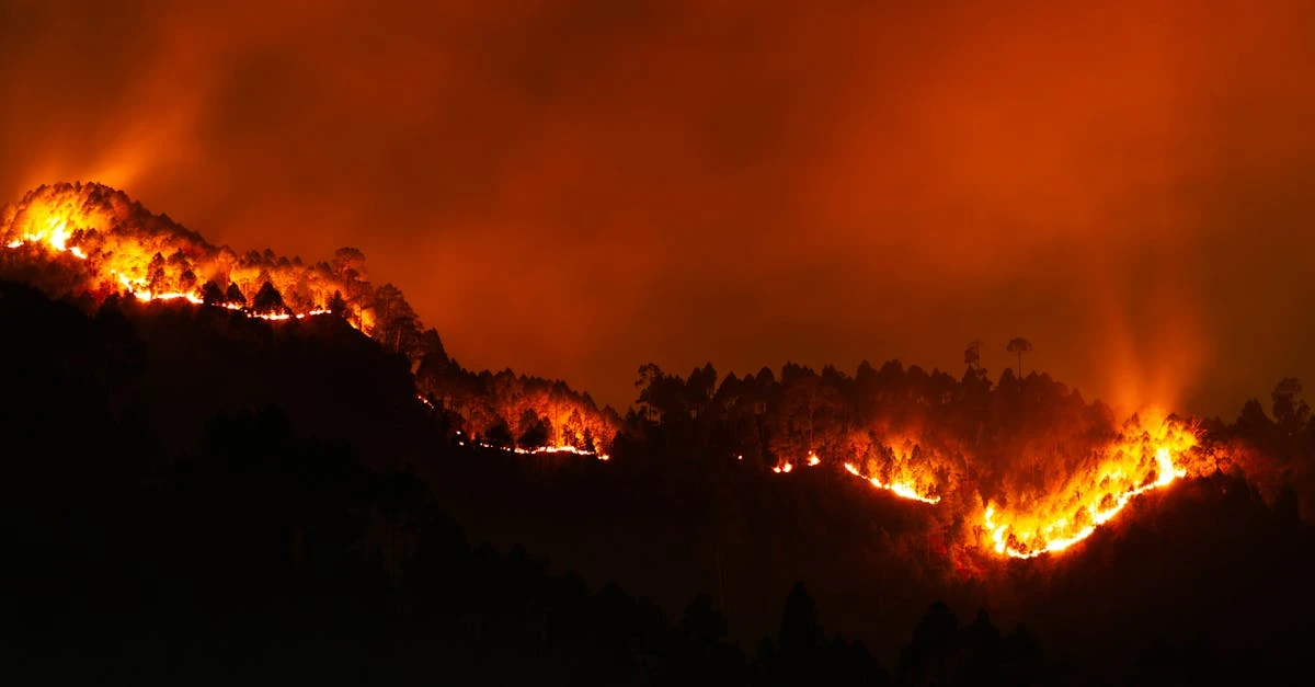 Rifas beneficentes: ideias criativas