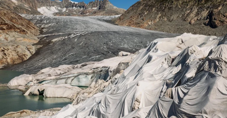 Sorteio de Rifas Online: Impacto e Eficiência na Captação de Recursos