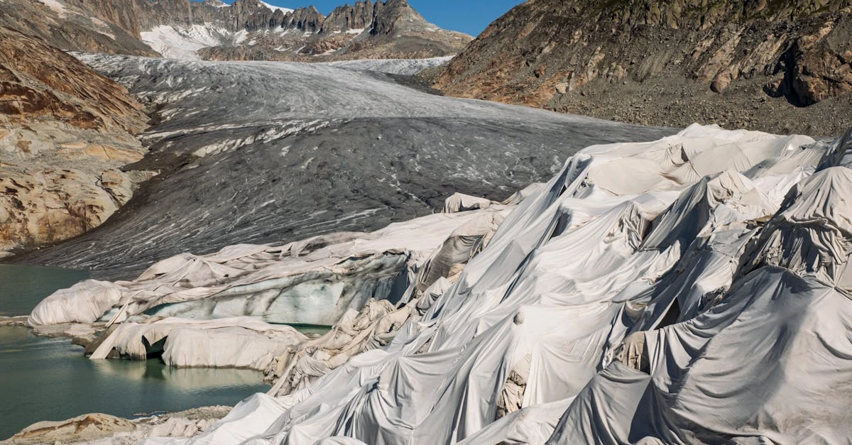 Sorteio de Rifas Online: Impacto e Eficiência na Captação de Recursos