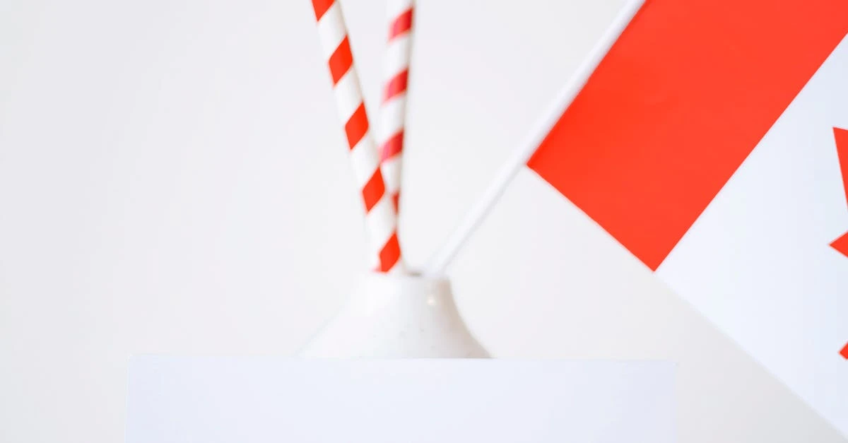 Cartela de Rifa 500 Números - Garanta já a sua!