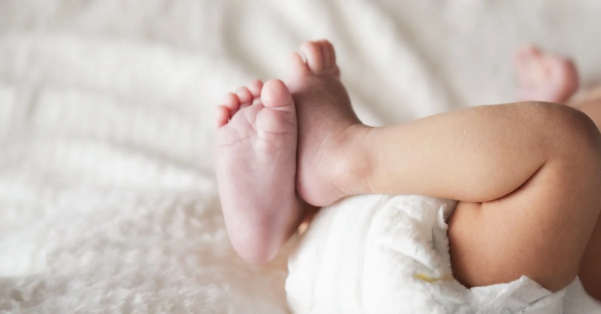 Como criar uma cha rifa de fralda para editar gratis em 2024