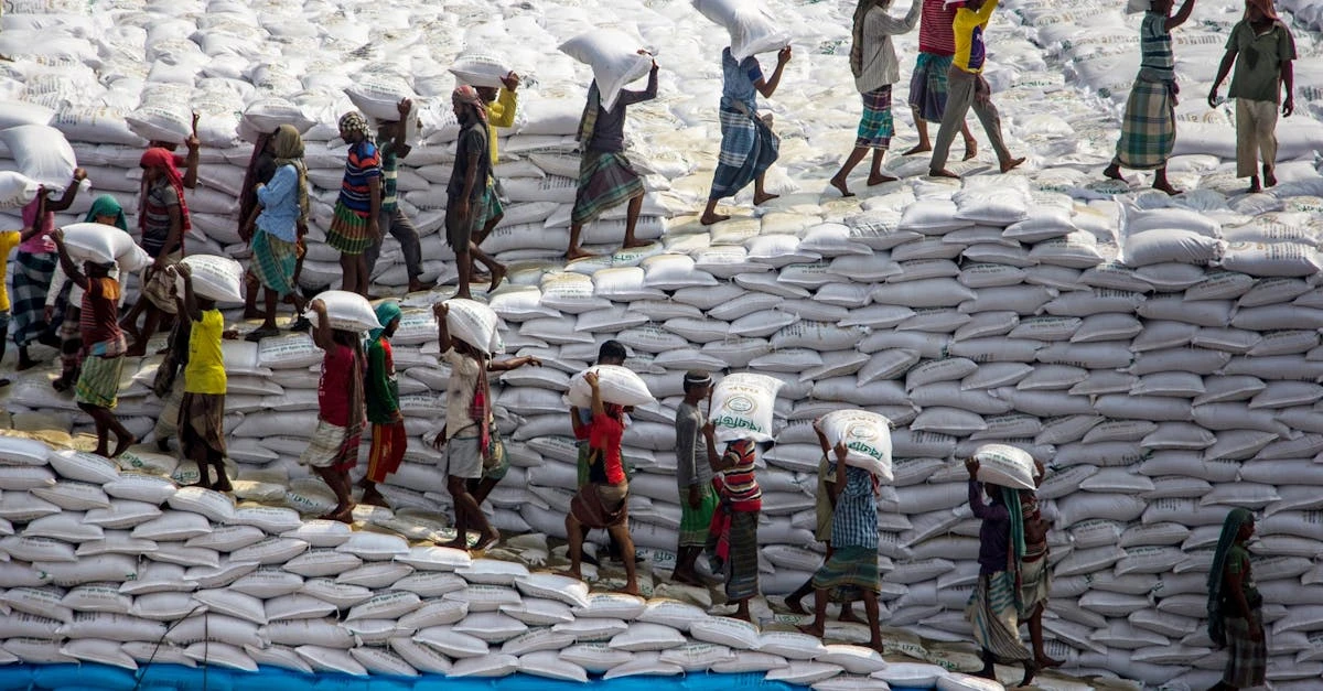 Como fazer um sorteio de times eficiente em 2024