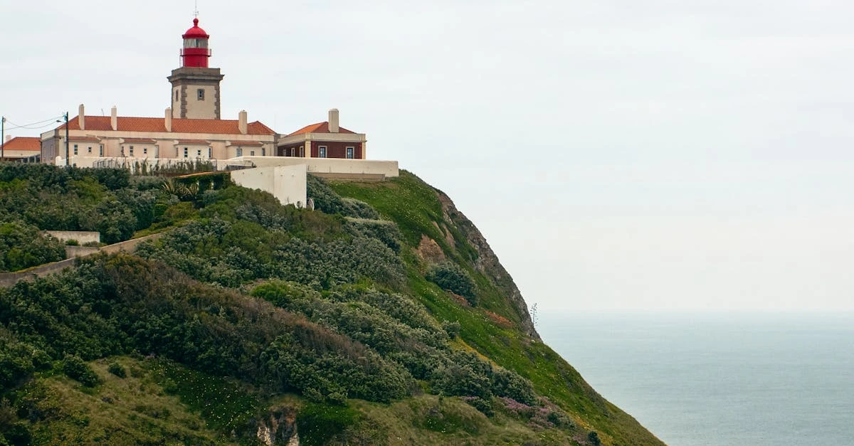 Guia Completo para Jogar na Federal em 2024