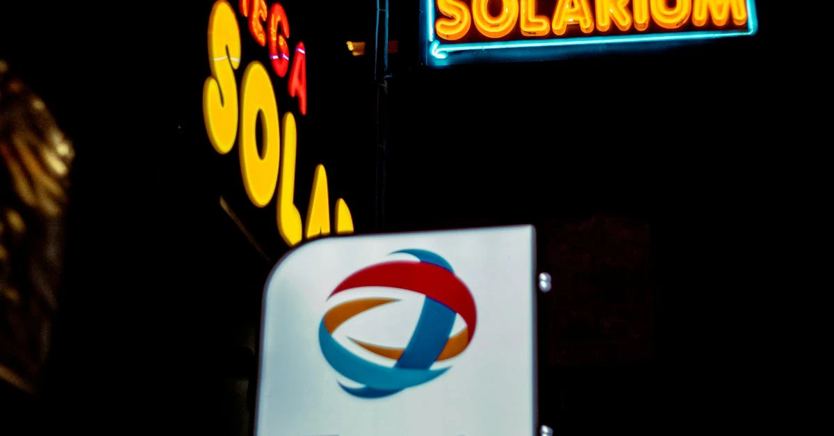 Sorteador de Números da Mega Sena: Aprenda a Jogar em 2024