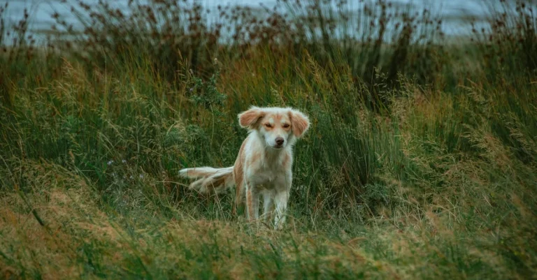 Como criar uma rifa grátis para editar: 7 passos essenciais ⎯ Foto: Diana ✨/Pexels